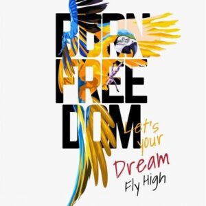 Fly High Freedom Hoodie - Image 4