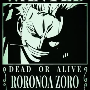 Wanted Zoro - Image 4